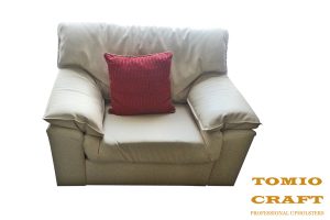 Scatter Cushion Upholstery